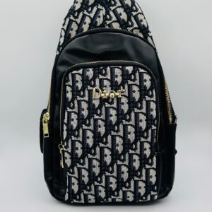 dior premium chest bag